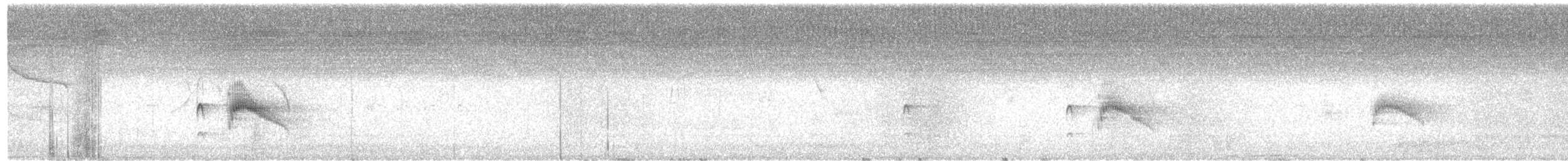 Couch's Kingbird - ML640871289