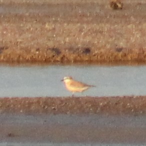 strandlo - ML640872692