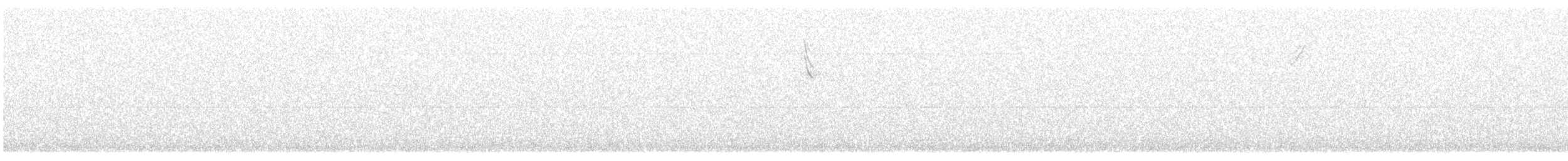 White-throated Sparrow - ML640875073