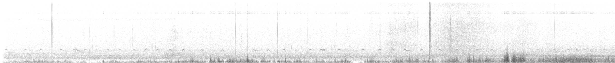 Chorlito Carambolo - ML640875153