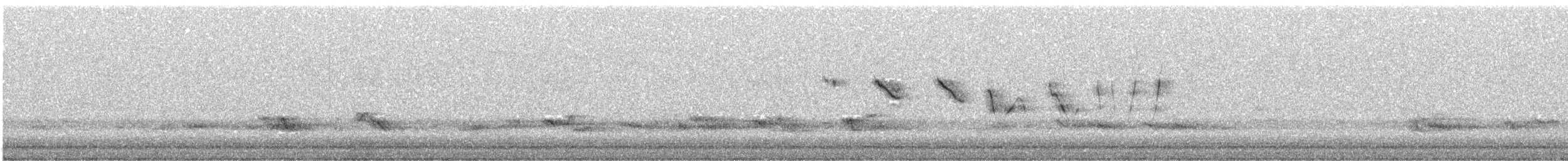 Louisiana Waterthrush - ML640875245