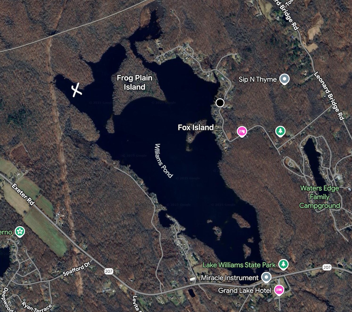 Keilschwanz-Regenpfeifer - ML640876026