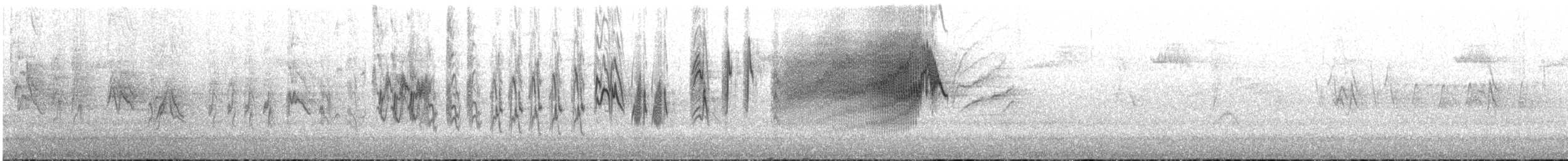 Pine Siskin - ML640876893