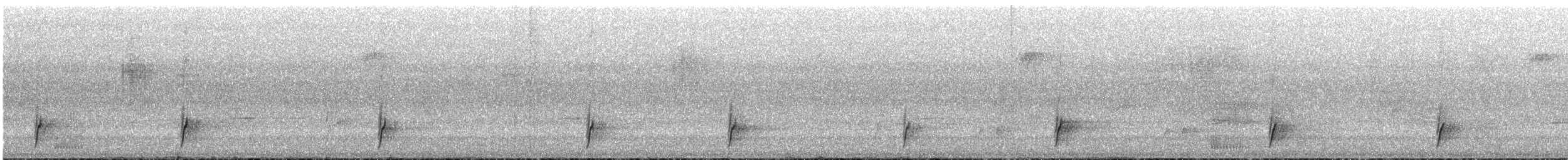 Swainson's Thrush - ML640877711