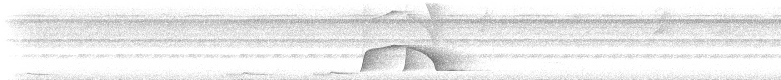 Piauhau hurleur - ML640878676