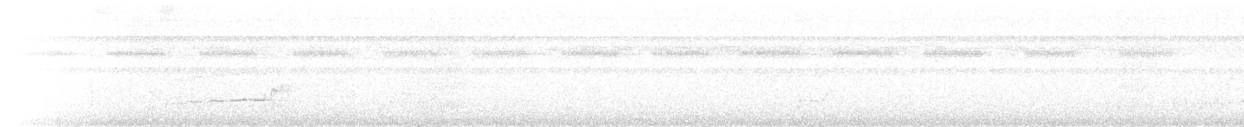 Пласкодзьоб західний - ML640879774