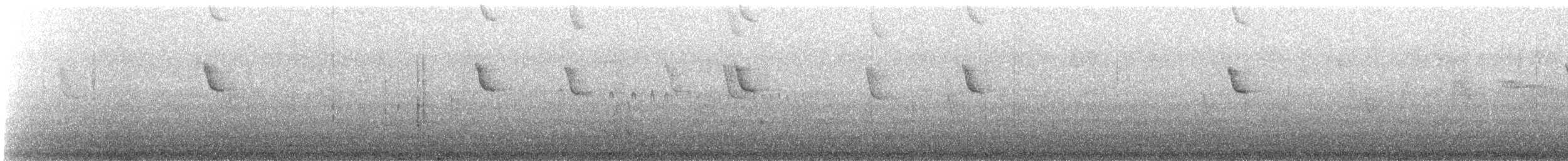 Colibri d'Angèle - ML640881988