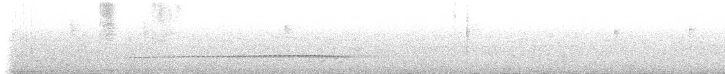 Batara moucheté - ML640882040