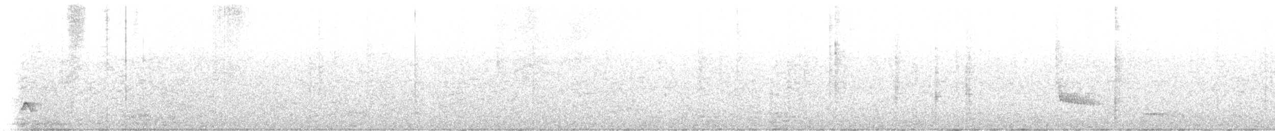Batara moucheté - ML640882041