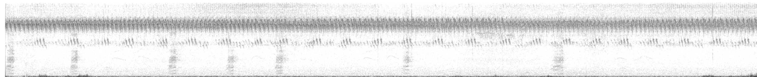 Alzavola - ML640883356