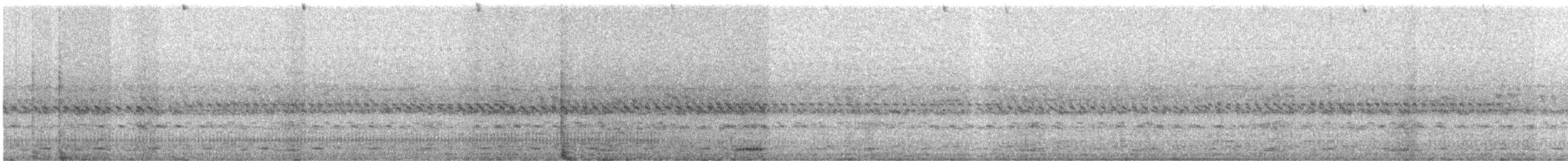 Spot-winged Wood-Quail - ML640883677