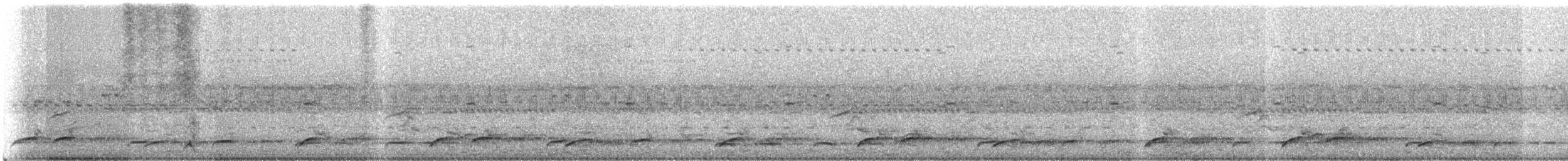 Slaty-breasted Wood-Rail - ML640883758