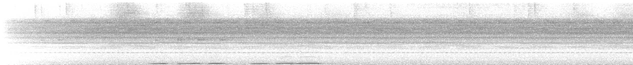 Nocturnal Curassow - ML640884057