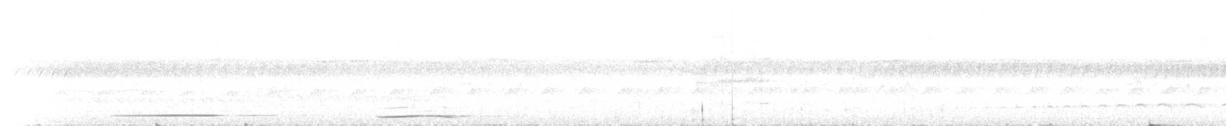 White-throated Tinamou - ML640885951