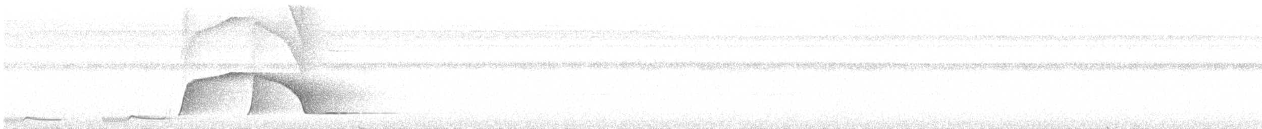 Piauhau hurleur - ML640885978