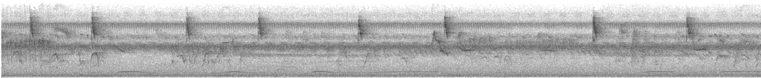 Sieboldgrüntaube - ML640886984