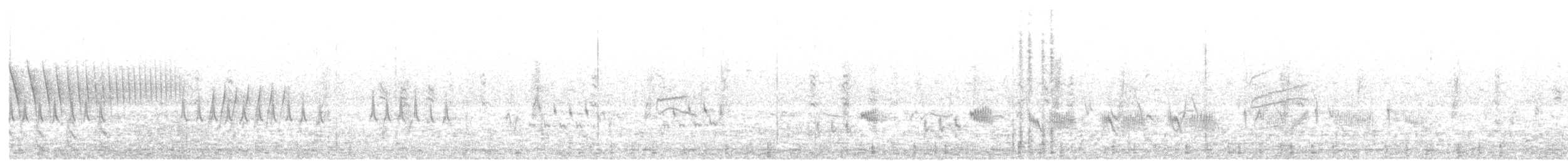 Scaled Quail - ML640887615