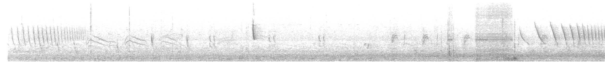 Scaled Quail - ML640887617