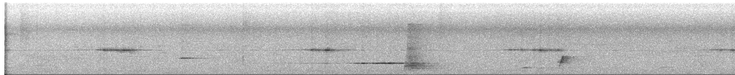 Fernwren - ML640888001