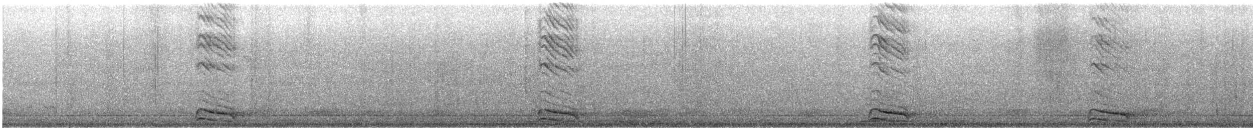 Gray Go-away-bird - ML640888993
