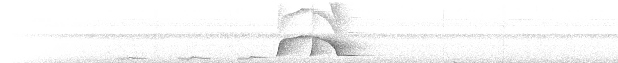 Piauhau hurleur - ML640889002