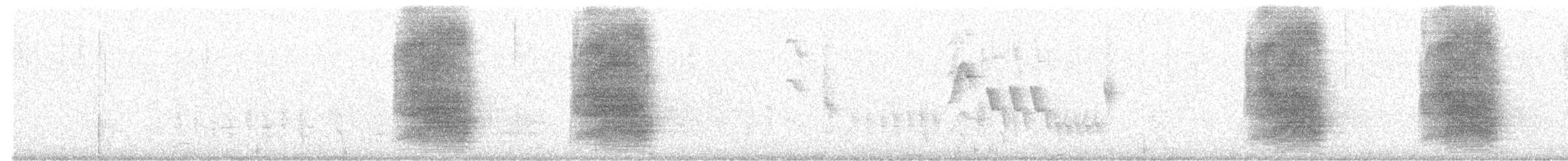 Steller's Jay (Middle American) - ML640889367