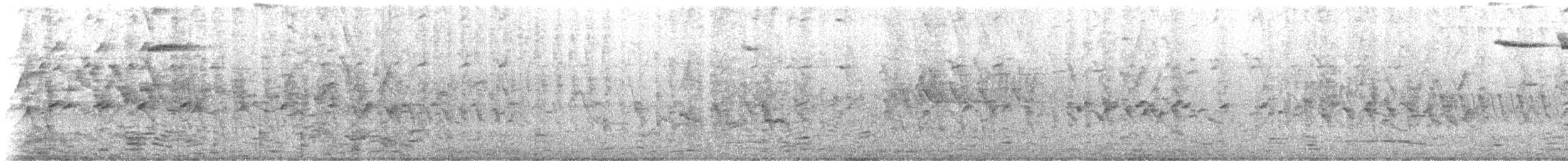 Carib Grackle - ML640889809