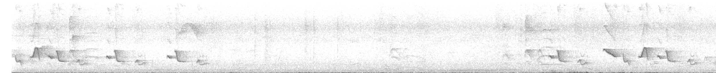 Troglodyte à long bec - ML640890679
