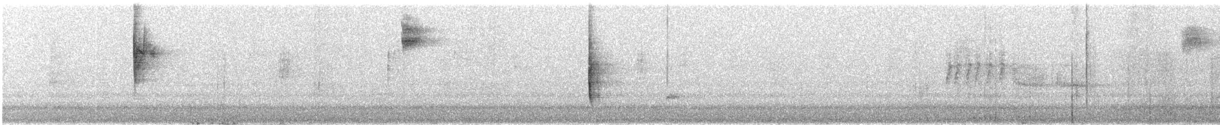 Fox Sparrow (Slate-colored) - ML640892141