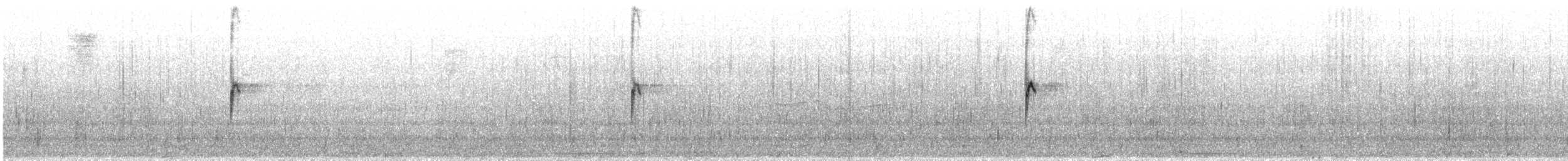 White-throated Sparrow - ML640894235