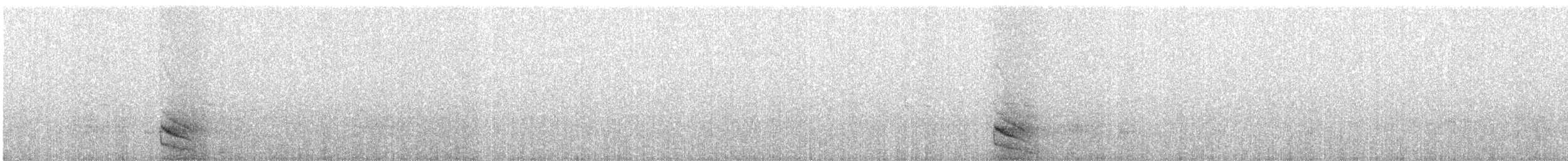 Australian Owlet-nightjar - ML640895518