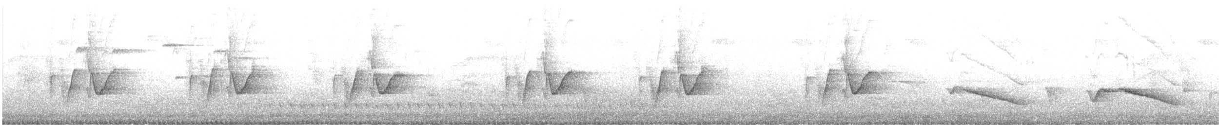 White-eared Monarch - ML640895982