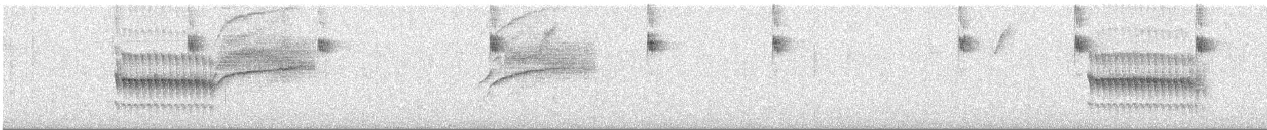 Trilling Tapaculo - ML640896049