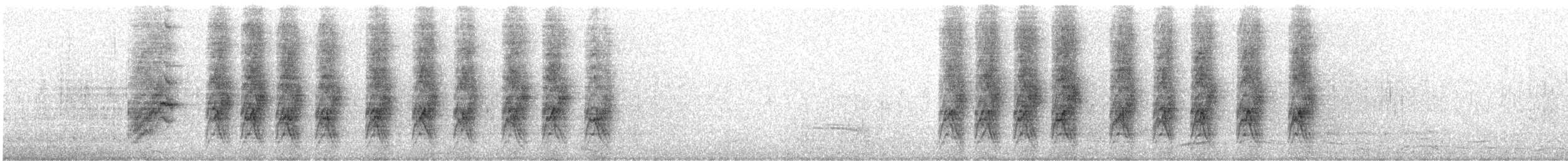 カリフォルニアカケス - ML640897666