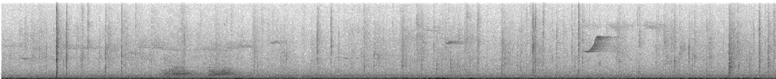 Albert's Lyrebird - ML640898397