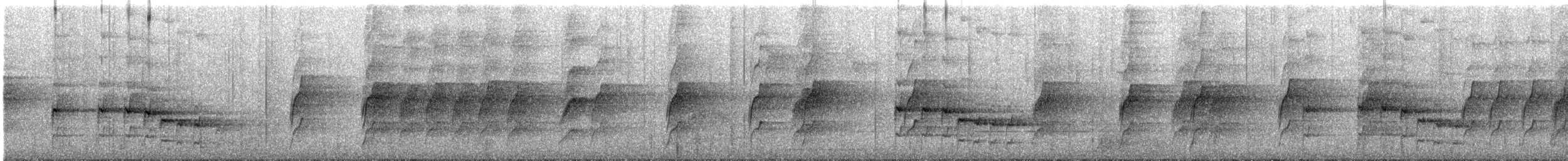 Australian Logrunner - ML640898411
