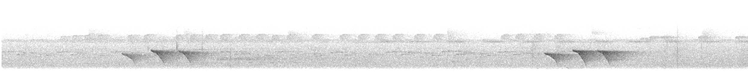 White-faced Robin - ML640898749