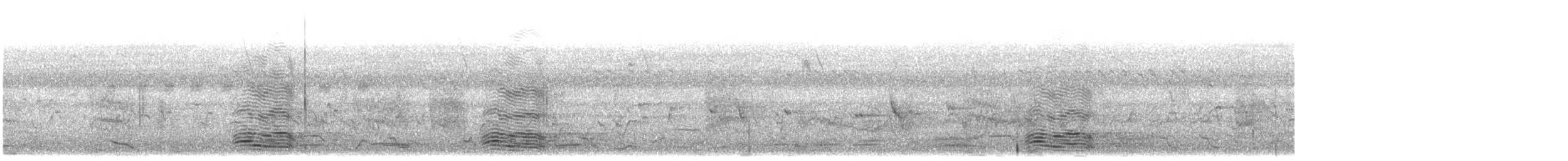 Torresian Crow - ML640898833