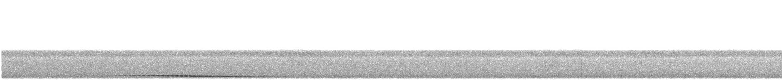 Curl-crested Manucode - ML640898878