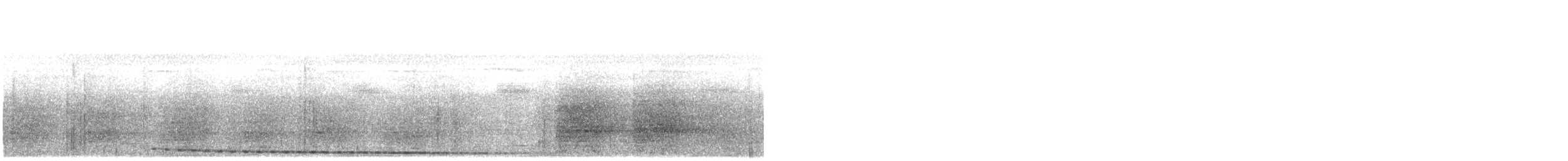 Curl-crested Manucode - ML640899062