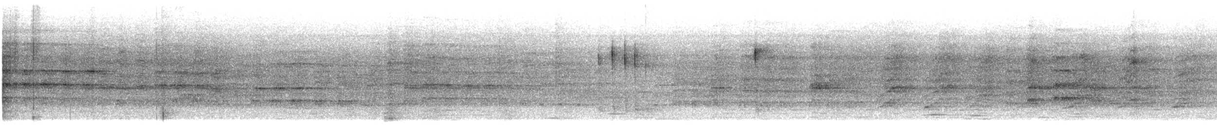 Oriental Pied-Hornbill - ML640899596