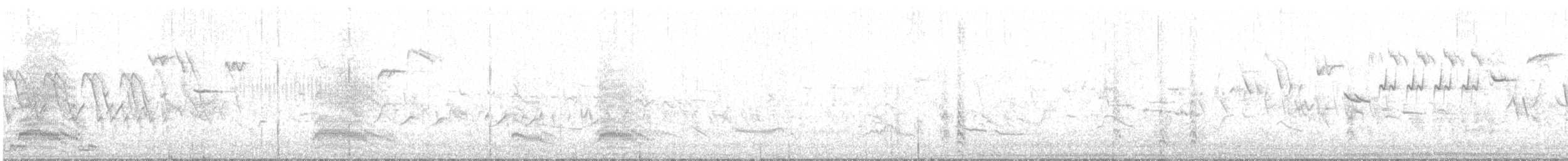 Хүрэн толгойт цахлай - ML640900956