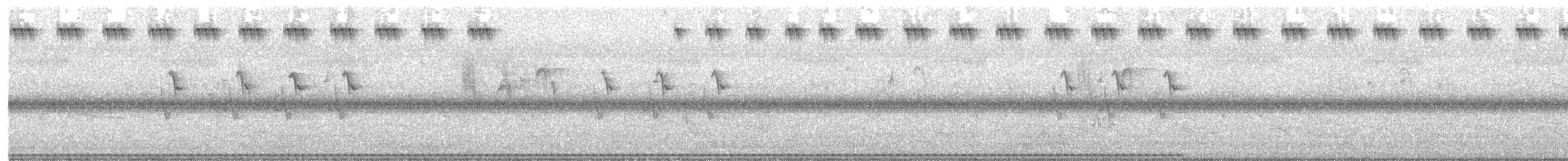 Barred Buttonquail - ML640901406