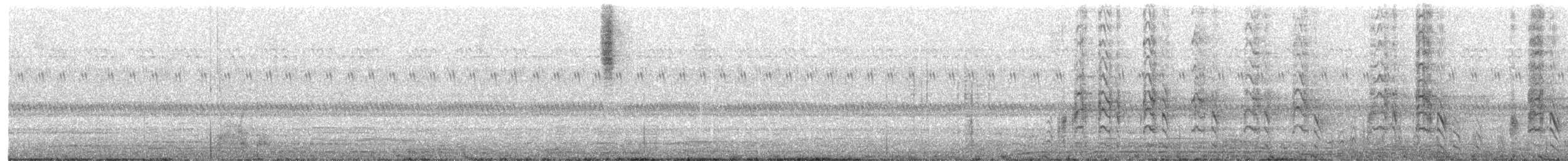 Spotted Owlet - ML640901454