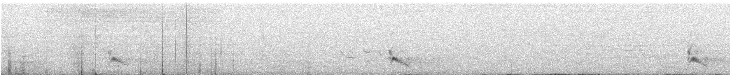 Tropical Mockingbird - ML640902853