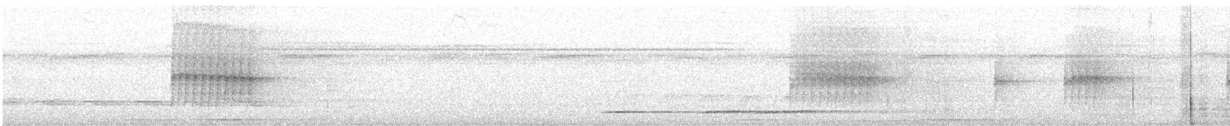 Myrmidon à flancs blancs - ML640903599