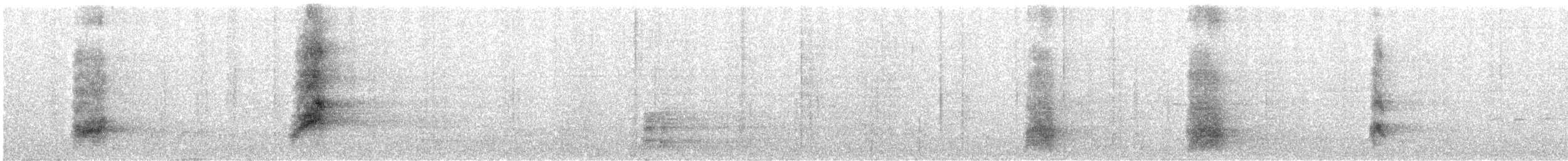 Satin Bowerbird - ML640903954