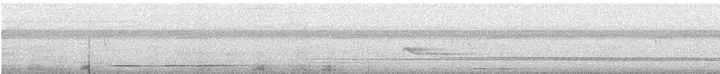 Slate-colored Hawk - ML640904325