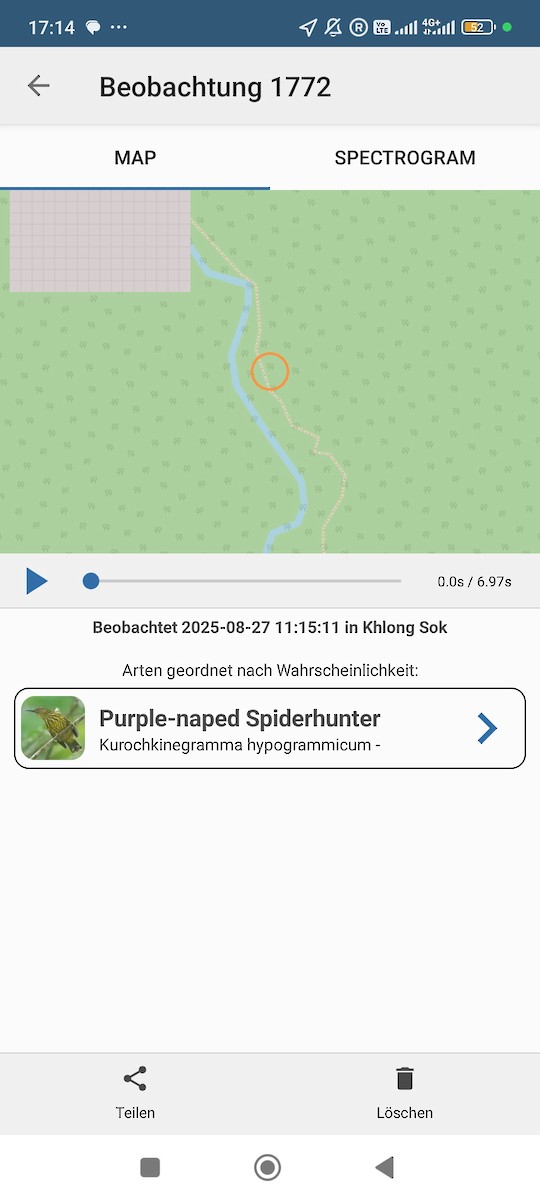 Purple-naped Spiderhunter - ML640905664