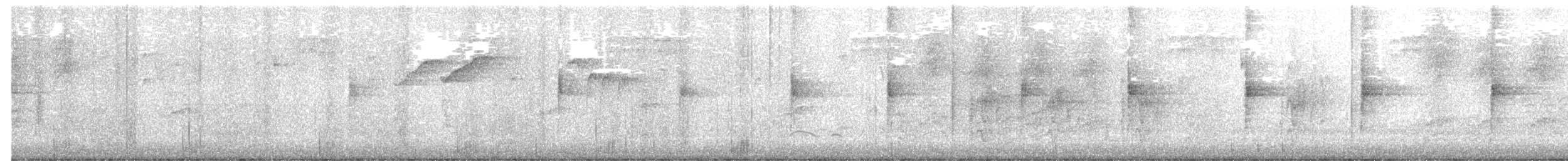 Смугастоволець річковий - ML640906077